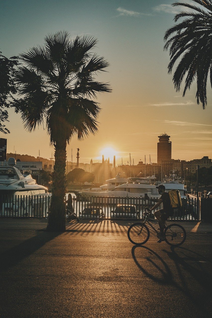 We are closed for summer vacation and be back on the 30th of August